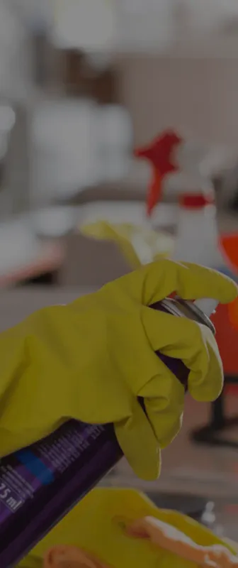 Cleaners Available in Wheaton